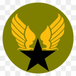 Pickle Union (Navy)