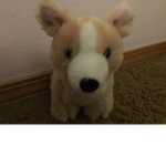 Pupstars12