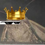 M0THS UNlTED