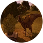 donate to da poor dino