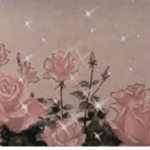 ~ c..L…O…u…d…y R…o…s…E…s ~