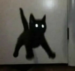 _rupyxy_