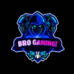 Pro gaming with bro gaming