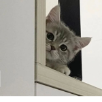 Lisa la best