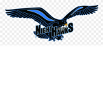 Night Hawk clan. By Galaxy_NightHawk103