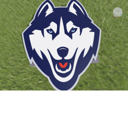 Husky Home