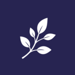 [NEW] Meadow Primary School