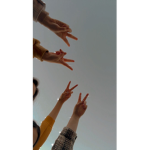 Sisi_selim