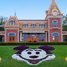 The Disneyland Enterance