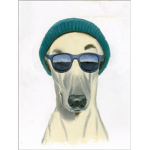 CoolDog Studios