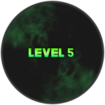 Level 5