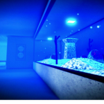 FISH PROTECTION CORP [FPC]