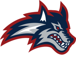 Charlotte Wolves