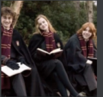 Harry’s houses