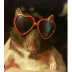 Cloudy Heartz