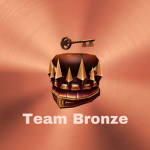 Team bronze_