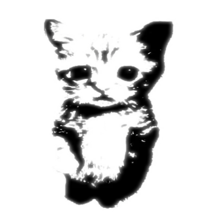 Standing Cat Wall Drawing