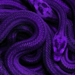 Pitvipers
