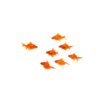 Square Two-Sided Decal