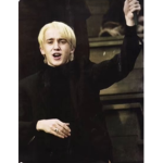 Draco/ Harry Potter Fans