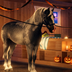 WillowCreekEquestrian