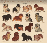 Mountain dog Studios