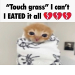 Strawberryguts