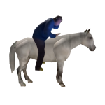 DJ Horse Rider