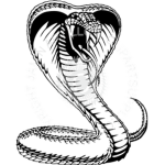 The_Viper_Community