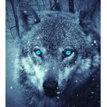 the water wolf club