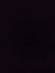 Masochist's Insignia
