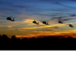 Cali Warfare Community