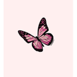 butterflies and beauty