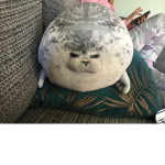 The seal thing