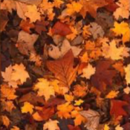 🍁 ⊹ˎˊ˗ ୨୧