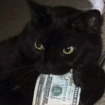 Swaglol