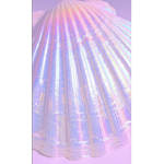 Aesthetic Shop (cheap)