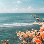côte de pétales