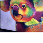 Rainbow koalas !