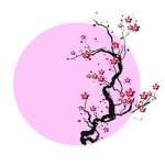 Studio Sakura