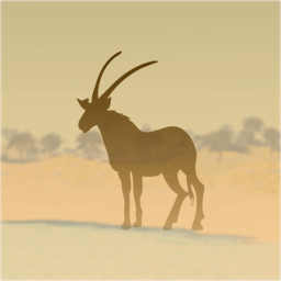 Duqm, Oman