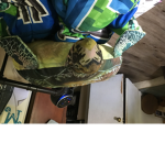 franklinsburg, robloxia (also turtle fan group)
