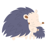 Echidna Studios