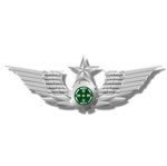 CCP, People's Liberation Army Ground Force