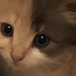 >ᴗ<