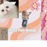 - Kitty Fan Group -