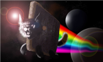 Nyan Cats FTW