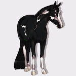 Pony Club :) :) :) :)