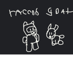 Raccoons (: