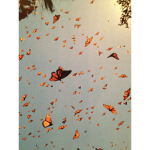 The Glowing butterfly Garden